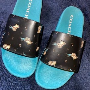 Coach slides